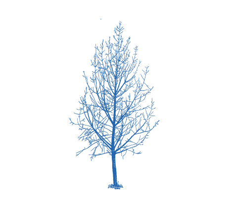 Sello árbol sin hojas