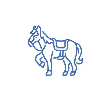 [SCA-ANG-44] Sello caballo de monta