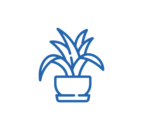 [SCA-PLA-05] Sello planta dracaena