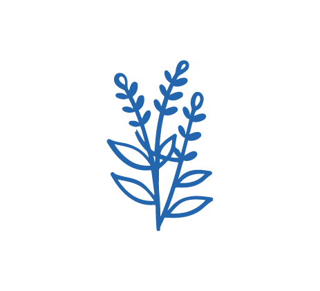 [SCA-PLA-09] Sello planta de trigo