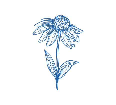 [SCA-PLA-28] Sello girasol abierto