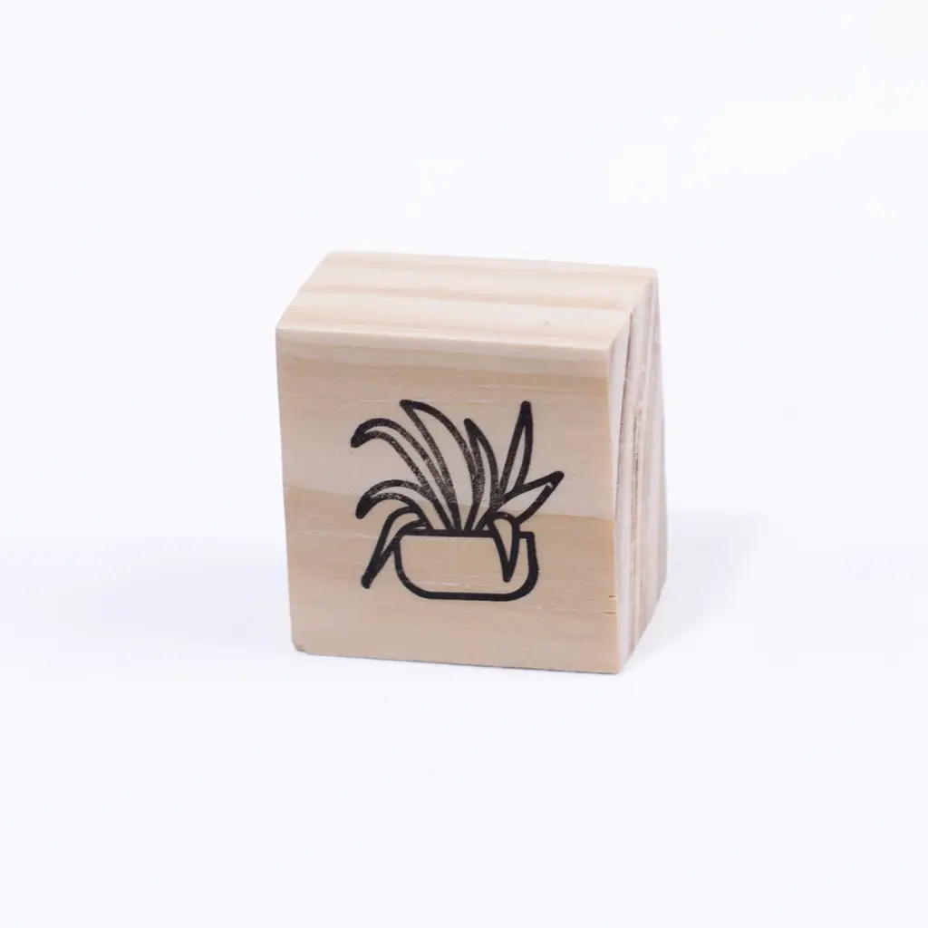 [SCA-PLA-01] Sello planta dragon en matera