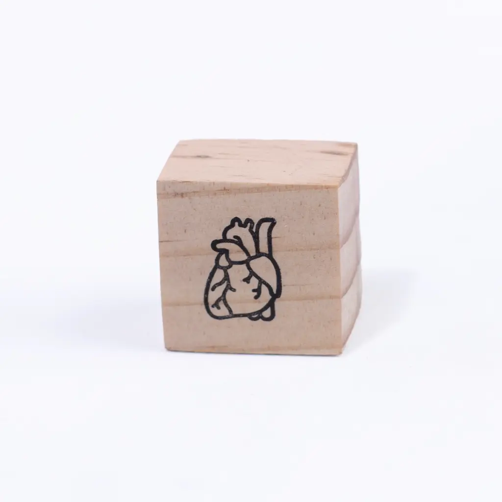 Sello corazón anatómico