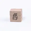 Sello corazón anatómico