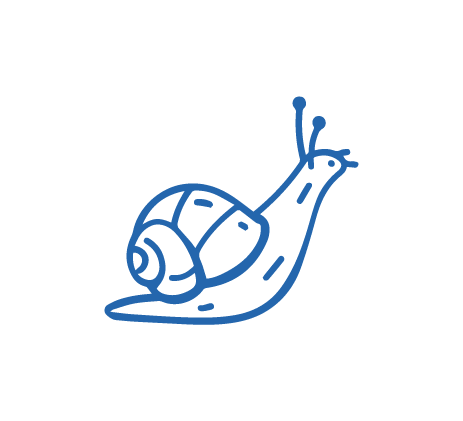 [SCA-ANI-31] Sello caracol